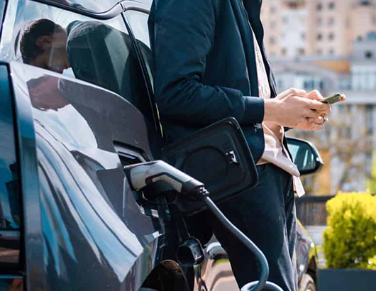 蚂蚁分类信息系统